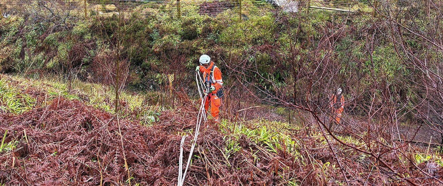Earthworks Examinations