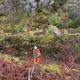 Earthworks Examinations
