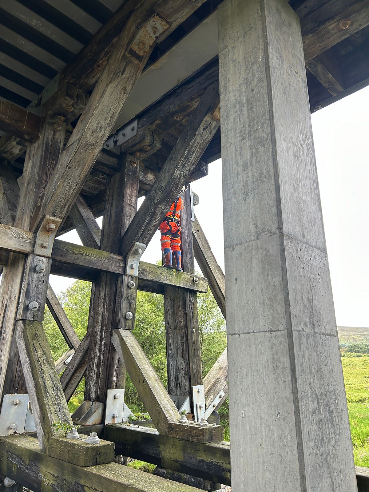 Working at Height: Access Specialists