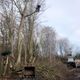 Vegetation Management