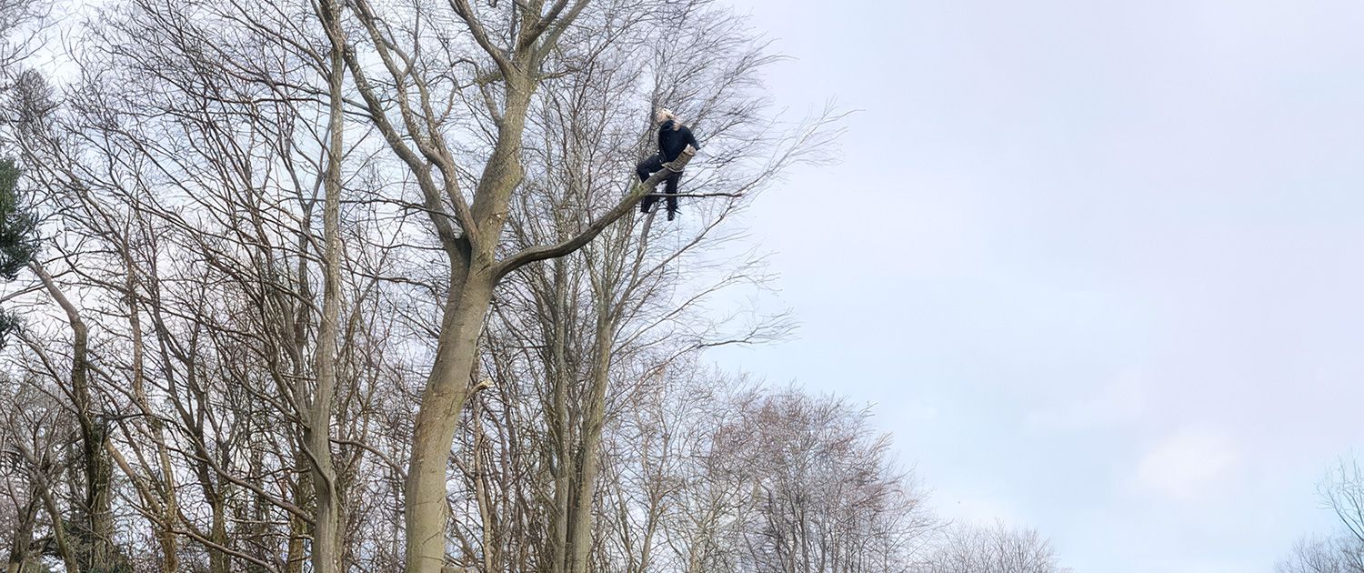 Vegetation Management Vegetation Management