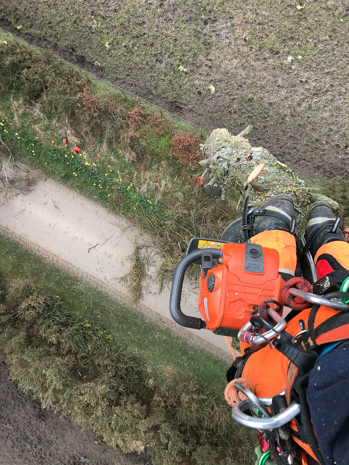 Vegetation Management