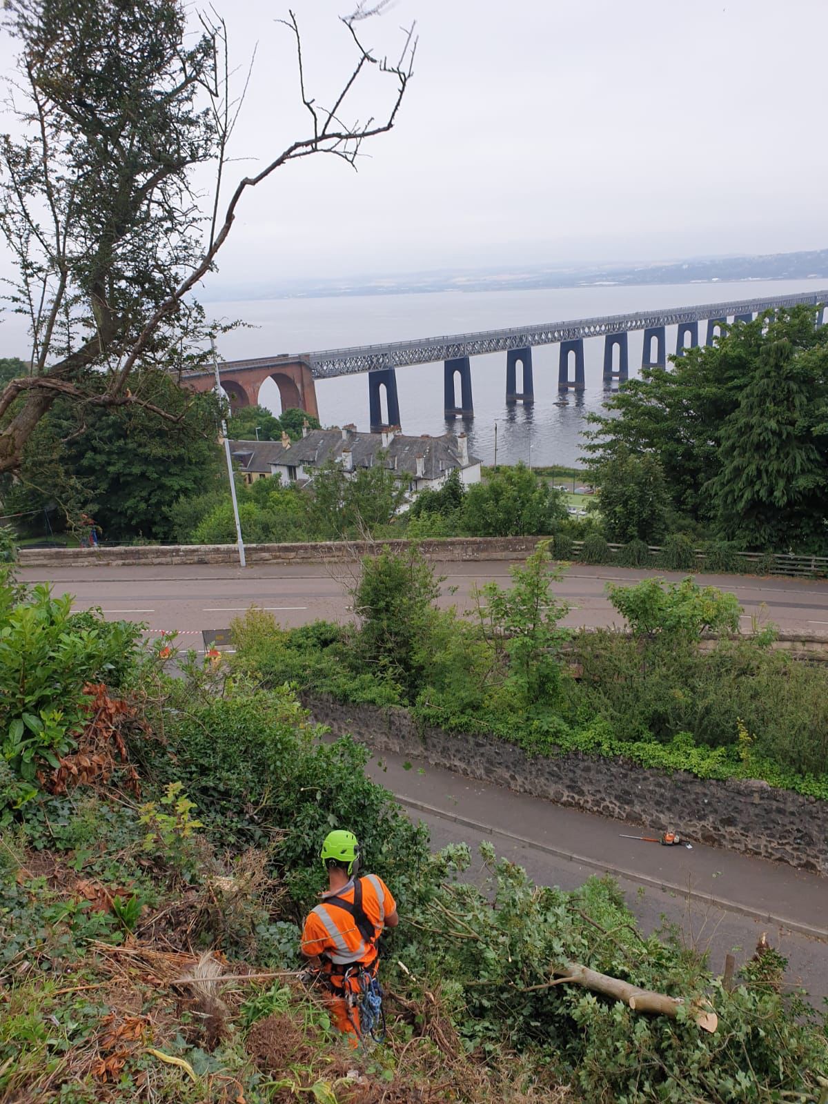 Vegetation Management